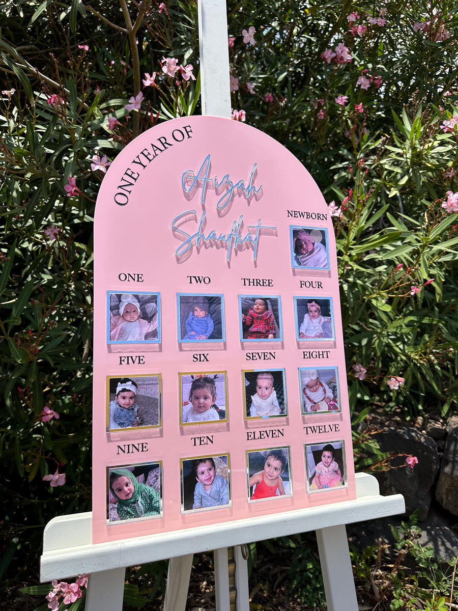 Acrylic Baby Milestone Board for 1st Birthday and Monthly Celebrations, One Year of Baby, Milestone Board, My First Year Sign, 1st Bday Gift