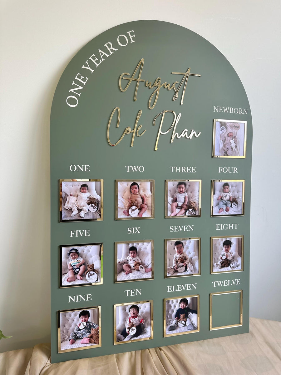 Acrylic Baby Milestone Board for 1st Birthday and Monthly Celebrations, One Year of Baby, Milestone Board, My First Year Sign, 1st Bday Gift