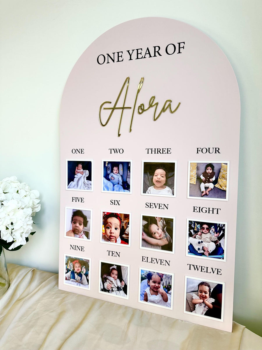 One Year of Baby Board, Acrylic Milestone Board, Milestone Board, My First Year Sign, 1st Birthday Decorations, Monthly Milestone Board