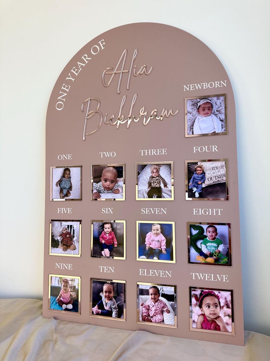 One Year of Baby Board, Acrylic Milestone Board, Milestone Board, My First Year Sign, 1st Birthday Decorations, Monthly Milestone Board