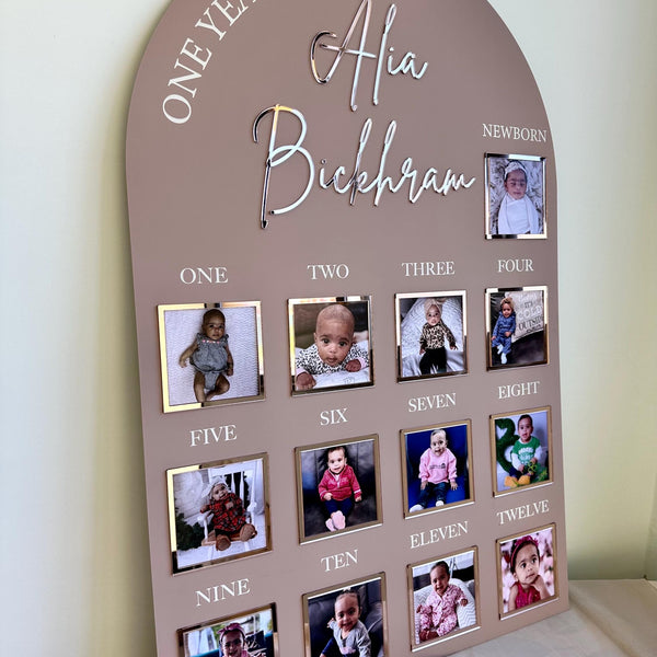 One Year of Baby Board, Acrylic Milestone Board, Milestone Board, My First Year Sign, 1st Birthday Decorations, Monthly Milestone Board