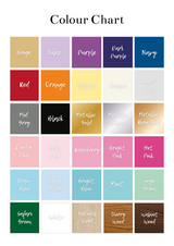 New Baby Birth Plaque Siblings/Twins