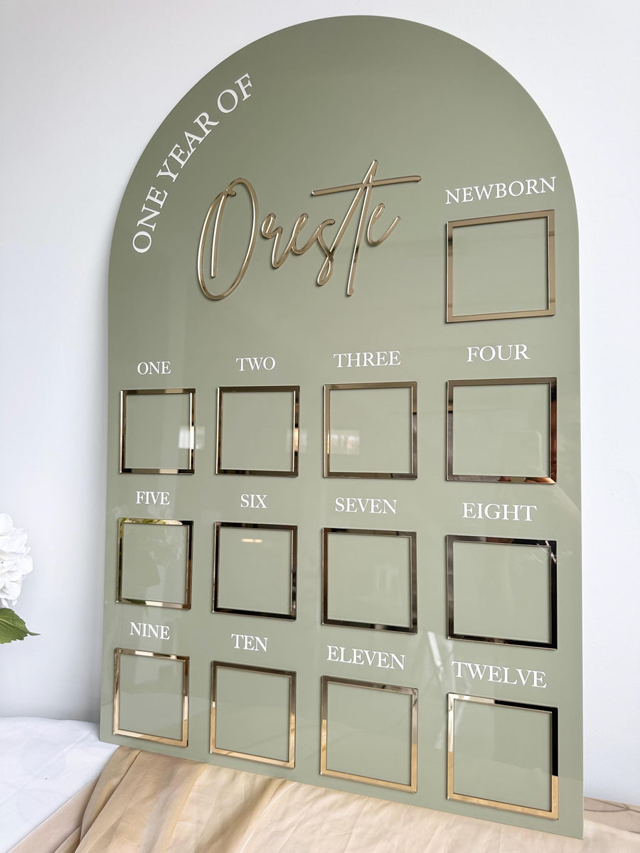 Acrylic Baby Milestone Board for 1st Birthday and Monthly Celebrations, One Year of Baby, Milestone Board, My First Year Sign, 1st Bday Gift