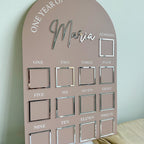 Acrylic Baby Milestone Board for 1st Birthday and Monthly Celebrations, One Year of Baby, Milestone Board, My First Year Sign, 1st Bday Gift