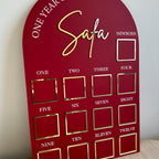 Acrylic Baby Milestone Board for 1st Birthday and Monthly Celebrations, One Year of Baby, Milestone Board, My First Year Sign, 1st Bday Gift