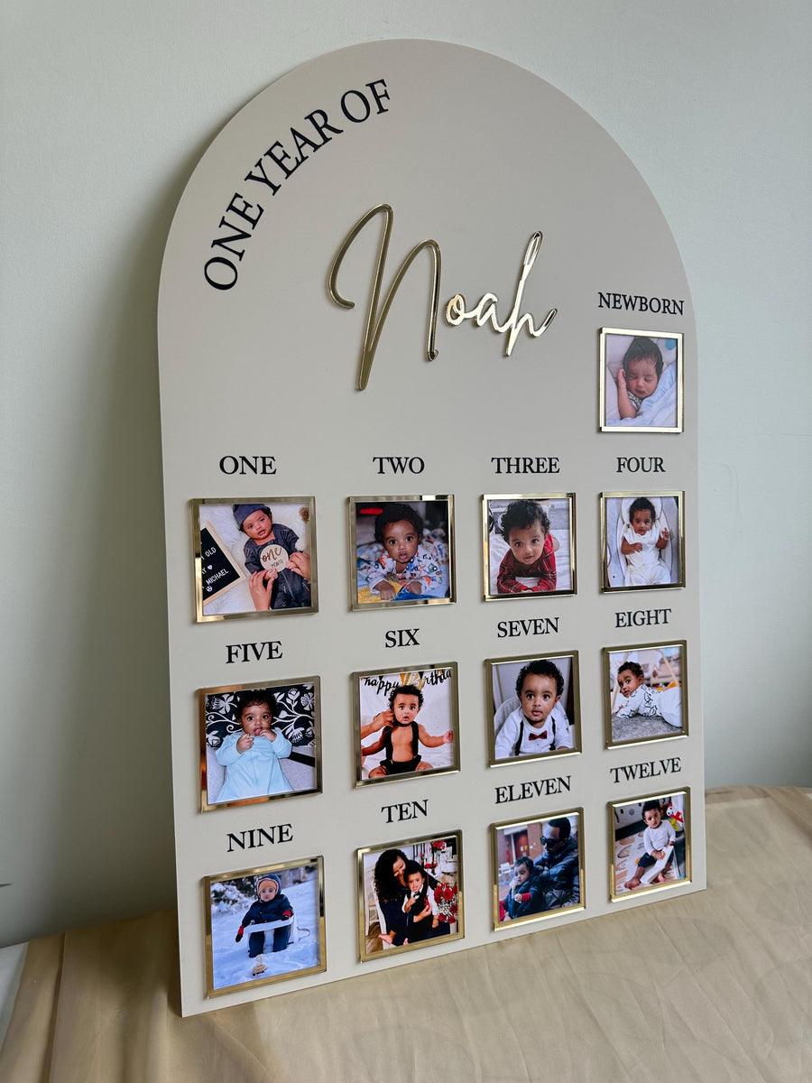 Acrylic Baby Milestone Board for 1st Birthday and Monthly Celebrations, One Year of Baby, Milestone Board, My First Year Sign, 1st Bday Gift