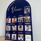 Acrylic Baby Milestone Board for 1st Birthday and Monthly Celebrations, One Year of Baby, Milestone Board, My First Year Sign, 1st Bday Gift
