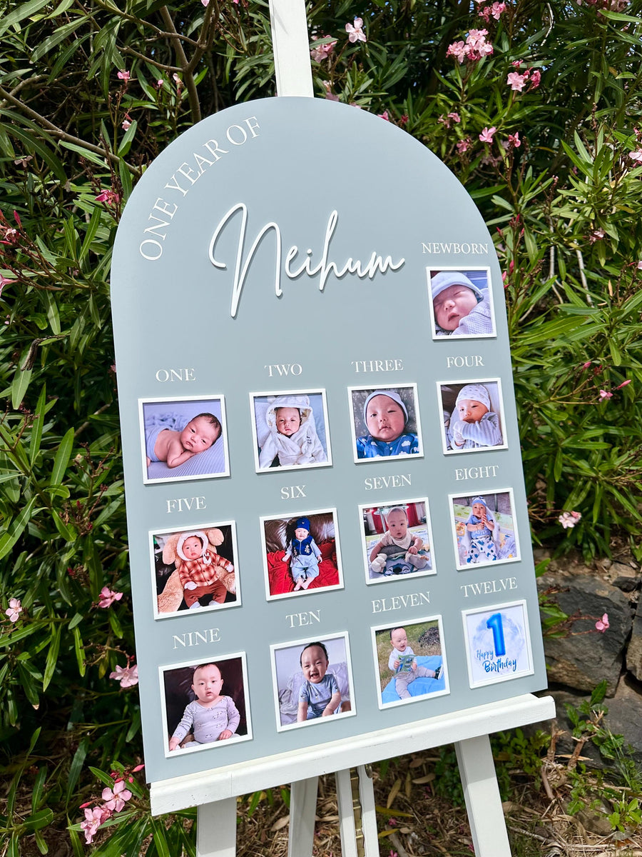 One Year of Baby Board, Acrylic Milestone Board, Milestone Board, My First Year Sign, 1st Birthday Decorations, Monthly Milestone Board