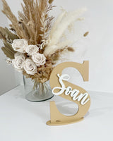 Personalized Letter Name Sign, Custom Wall Mount or Standing Initial for Nursery & Kids Room, Personalized Baby Initial and Name