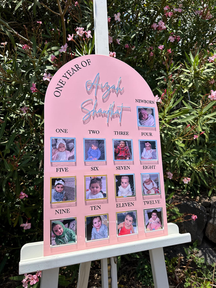 One Year of Baby Board, Acrylic Milestone Board, Milestone Board, My First Year Sign, 1st Birthday Decorations, Monthly Milestone Board