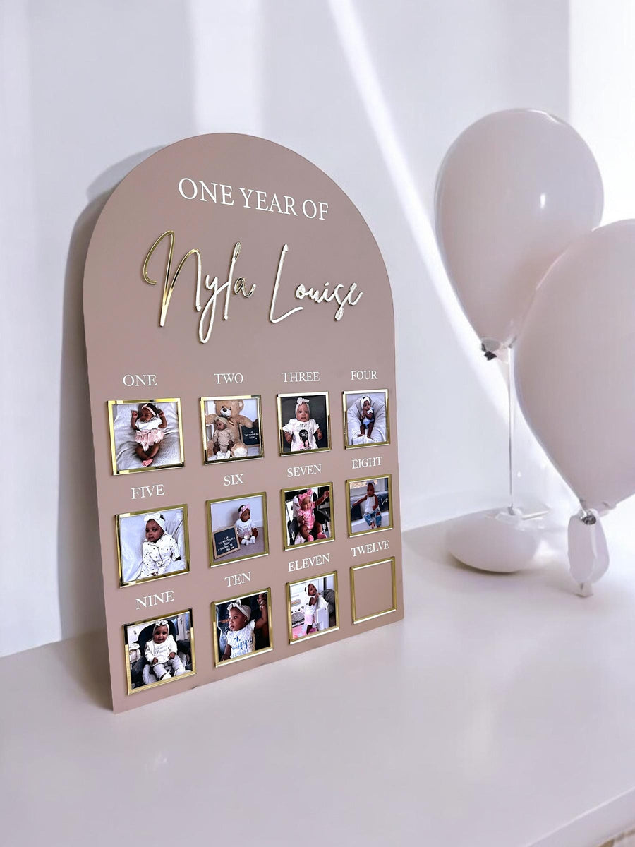 One Year of Baby Board, Acrylic Milestone Board, Milestone Board, My First Year Sign, 1st Birthday Decorations, Monthly Milestone Board
