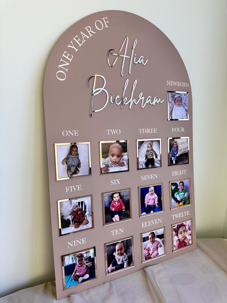 One Year of Baby Board, Acrylic Milestone Board, Milestone Board, My First Year Sign, 1st Birthday Decorations, Monthly Milestone Board