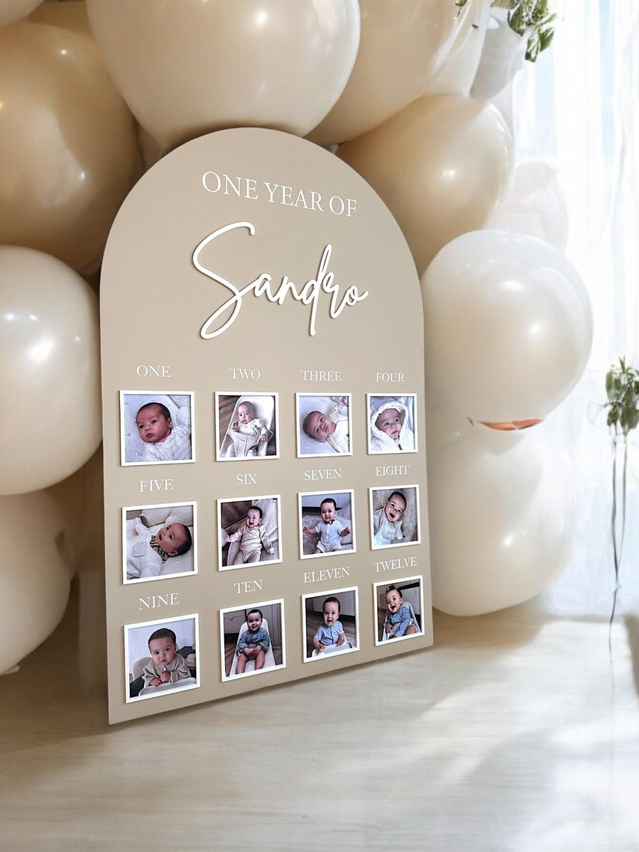 1st Birthday Photo Board, First Birthday Milestone Plaque, My First Year Sign, Baby 12 Months Board, Kids Bday Decor, 1st Bday Decorations