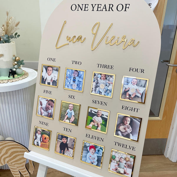 One Year of Baby Board, Acrylic Milestone Board, Milestone Board, My First Year Sign, 1st Birthday Decorations, Monthly Milestone Board